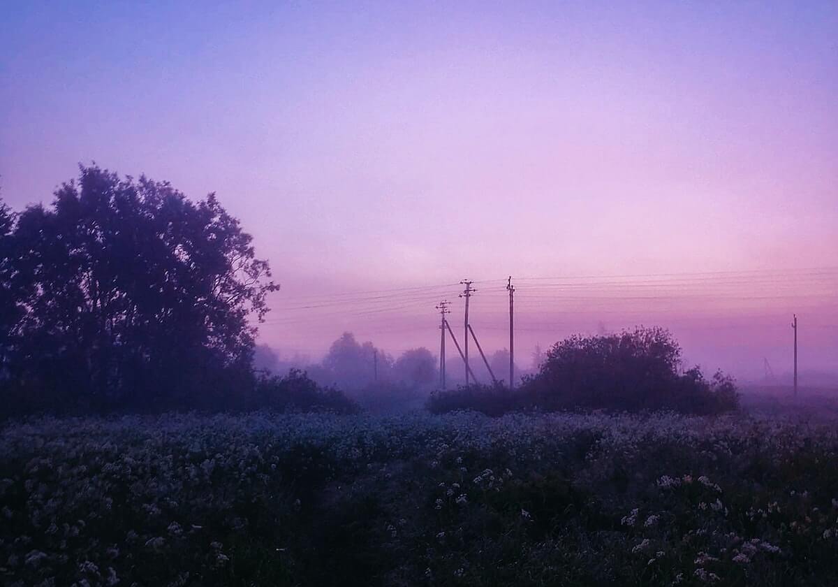 开云-兄弟们，这波四杀细不细节